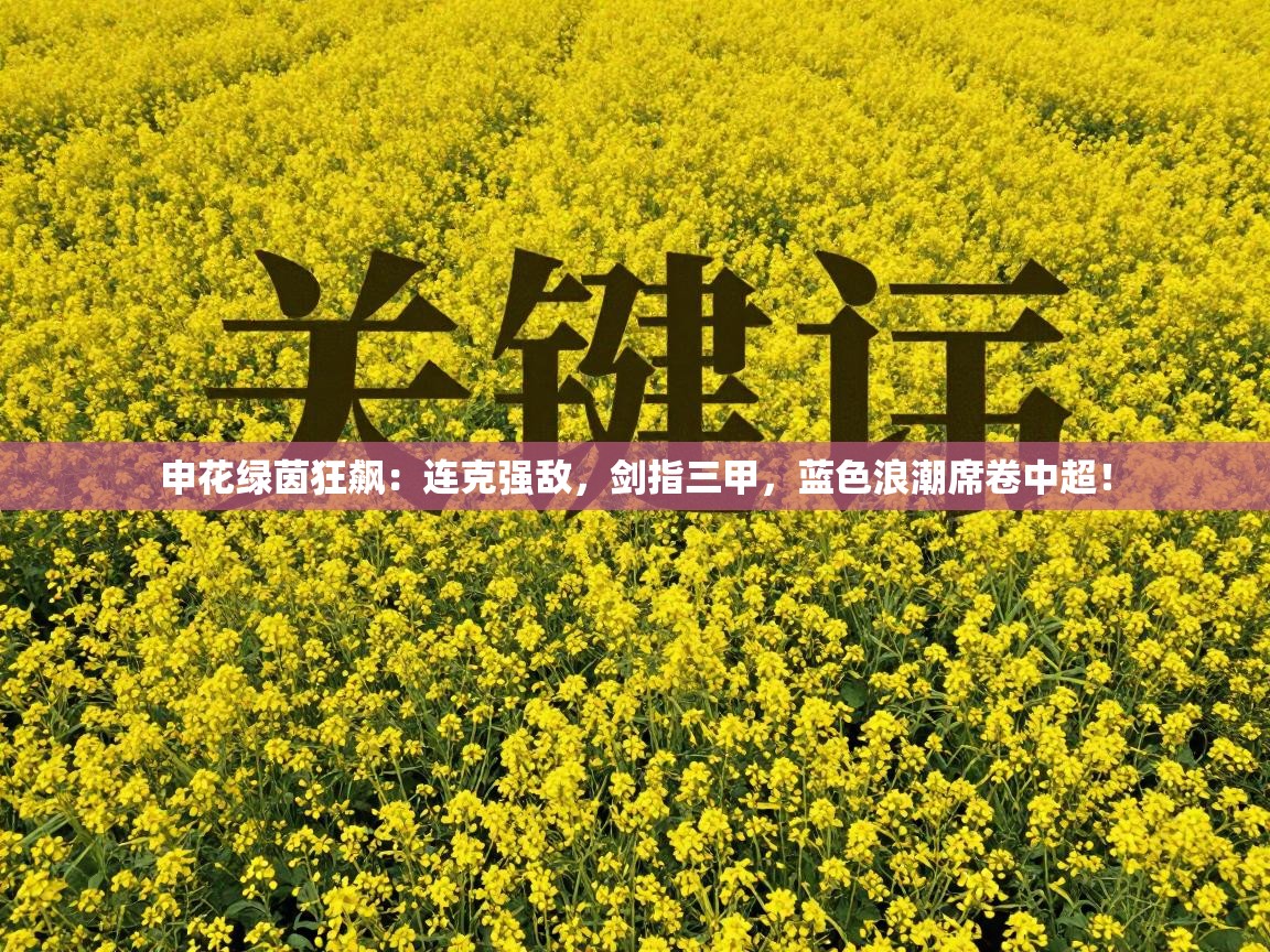 申花绿茵狂飙：连克强敌，剑指三甲，蓝色浪潮席卷中超！  第2张
