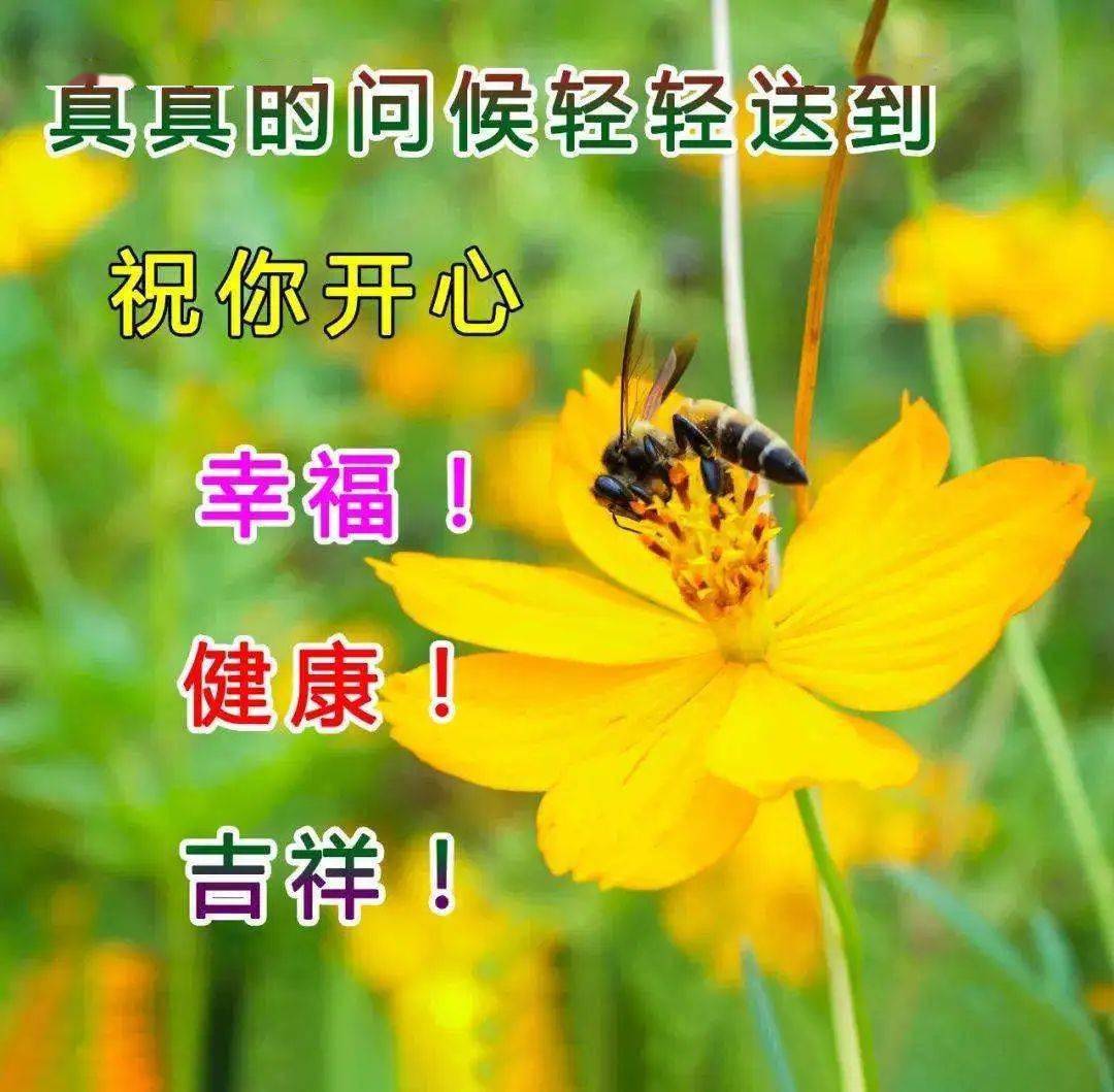 开云体育登录入口-阿拉巴祝福穆西亚拉：保持坚强！祝你顺利、完全康复！的简单介绍