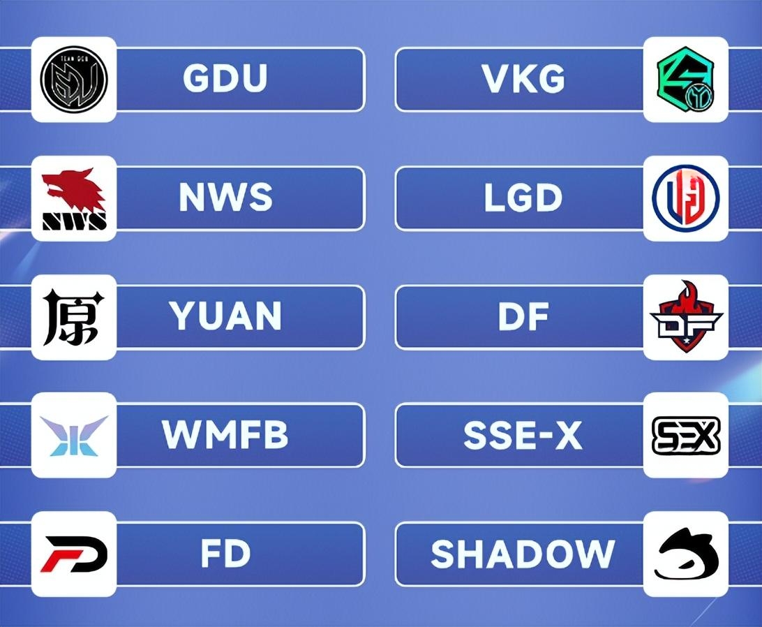 电竞世界杯Apex决赛：中国战队VKG五局51分，开出赛点